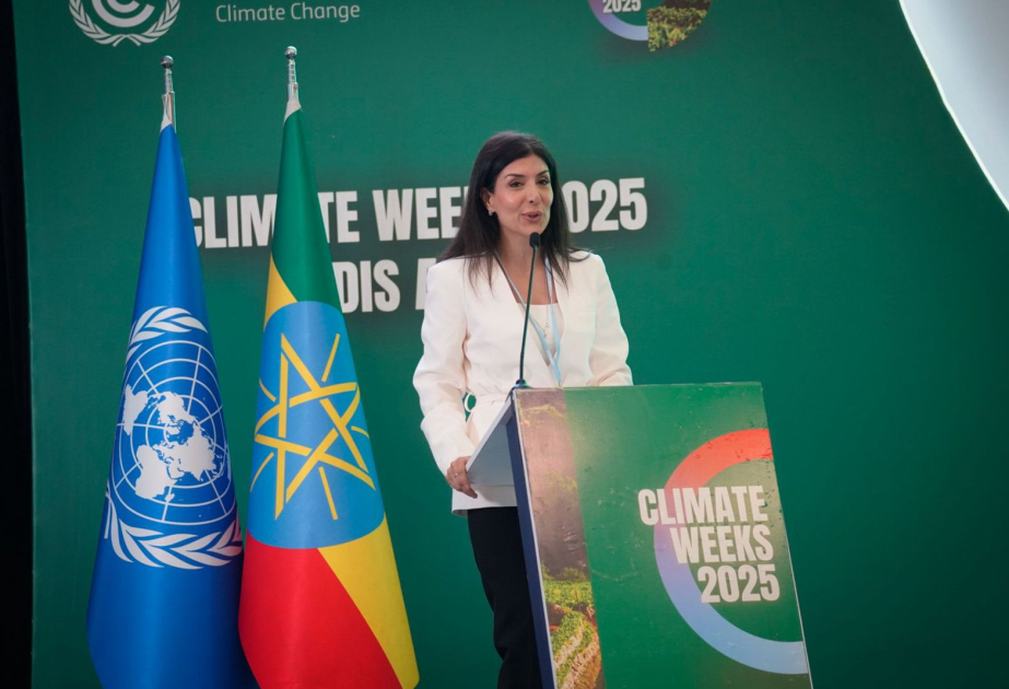 UN Climate Change High-Level Champion for COP29: Technological advancement holds the key to revitalizing Green Agenda