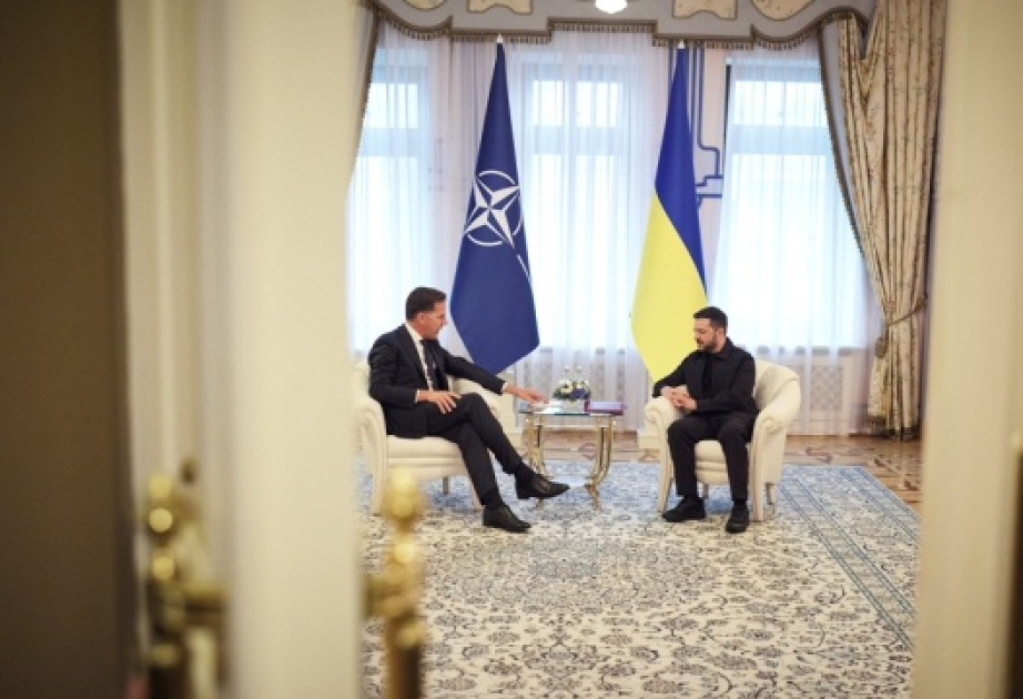Зеленский и Рютте обсудили гарантии безопасности для Украины