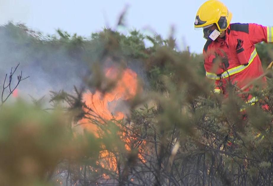 UK suffers worst ever year for wildfires - with total set to eclipse 1,000