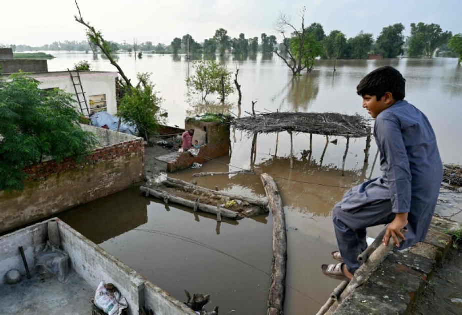 Pakistan floods devastate crops, farmers warn of ‘billions’ in losses’