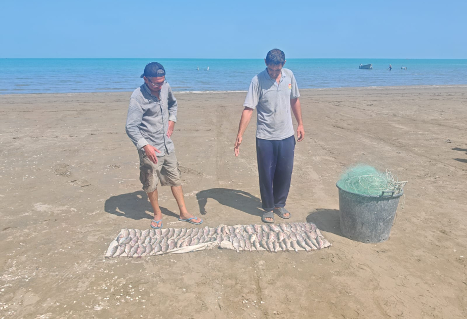 Qanunsuz balıq ovu hallarını aşkarlamaq üçün reydlər davam edir