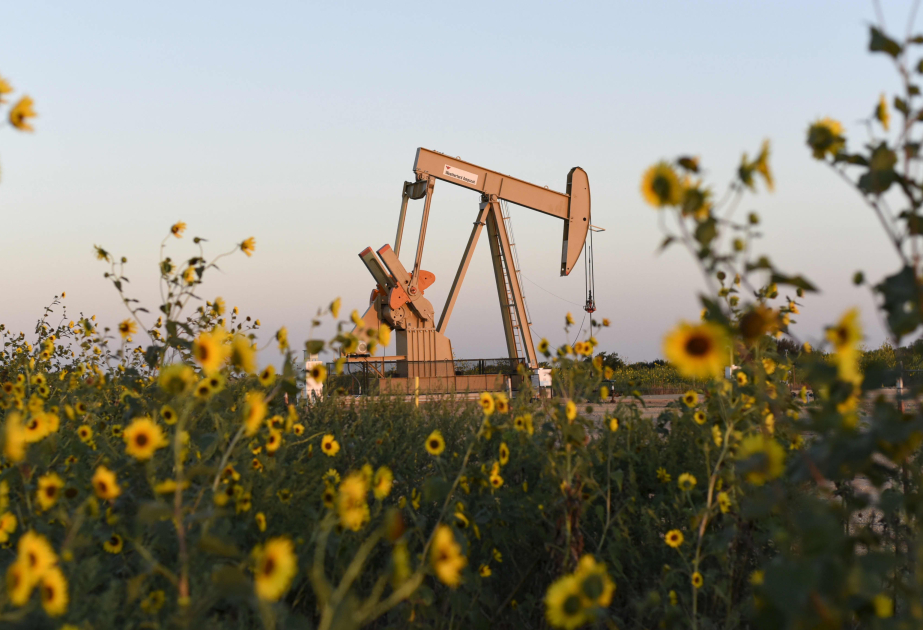 Les cours du pétrole reculent sur les bourses mondiales
