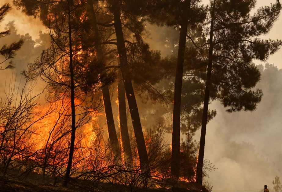 Iberische Halbinsel: Erneut Waldbrände in Portugal und Spanien