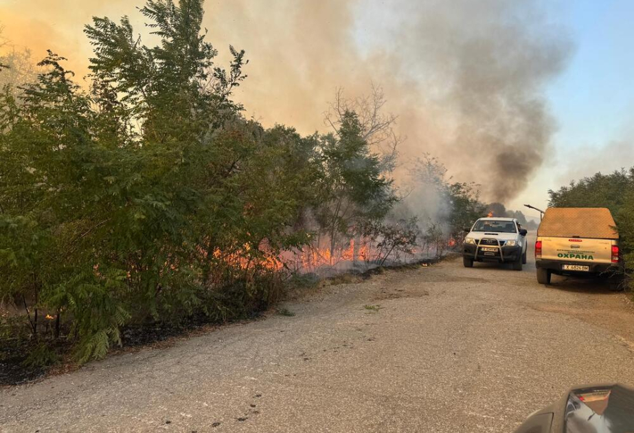 Efforts to contain fire in Sakar Mountain continue