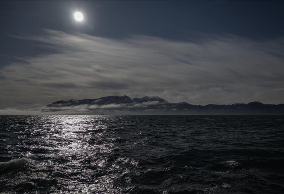 Critical ocean microbes face collapse as warming threatens global food webs: Research