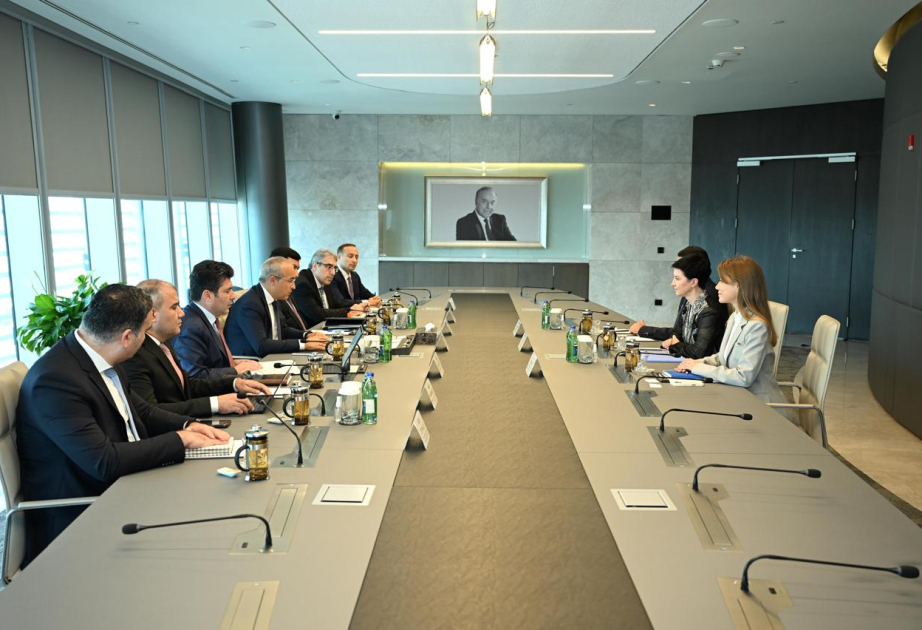 La société VISA soutiendra la numérisation de l'économie et de l'entrepreneuriat en Azerbaïdjan