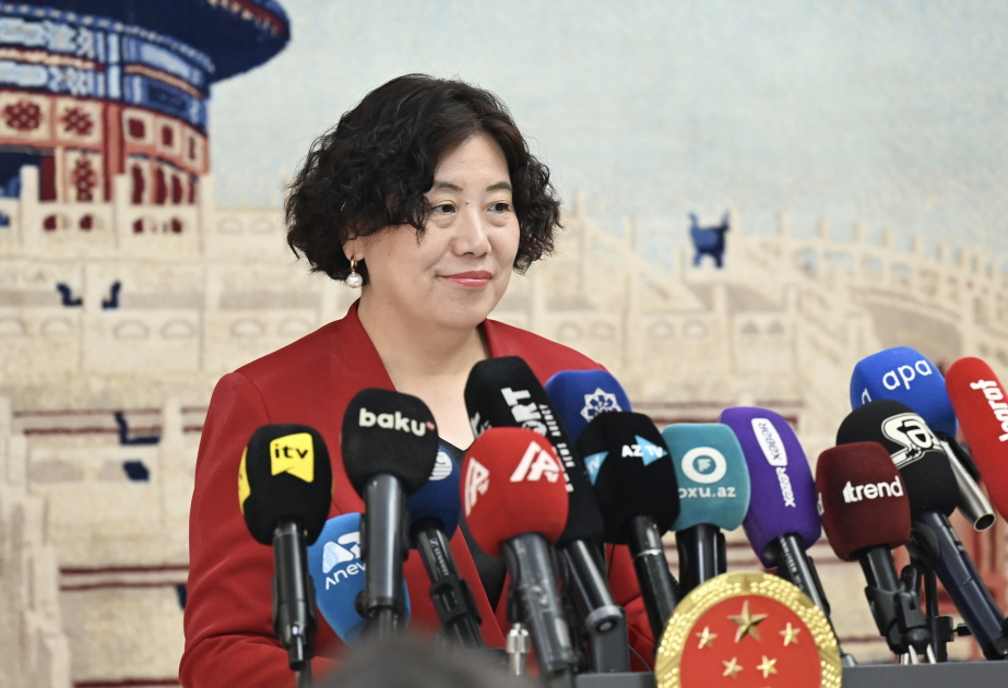 大使：中阿为二战胜利作出宝贵历史贡献