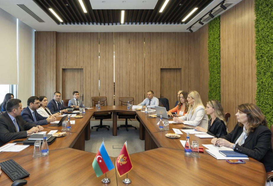 Monteneqronun nümayəndə heyəti ilə pensiya təminatı sahəsində müzakirələr aparılıb