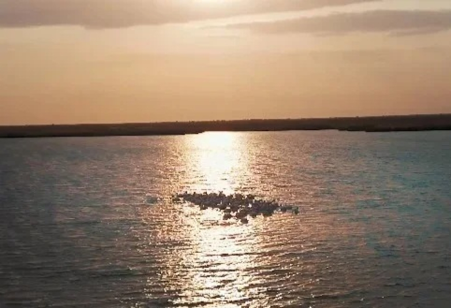 Water level in Northern Aral Sea rises up to 24.1 bln cu m