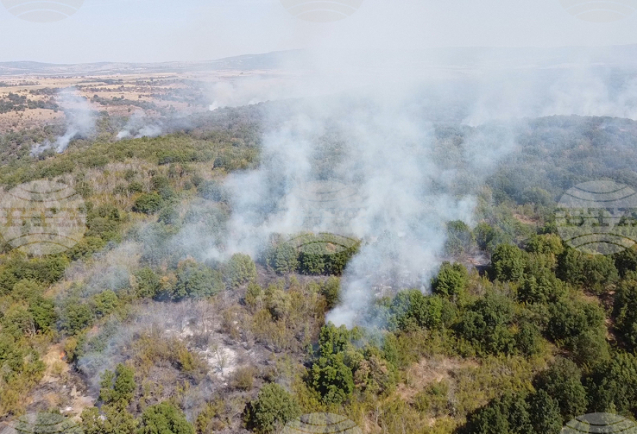 Over 1,300 hectares affected by wildfire in Sakar Mountain