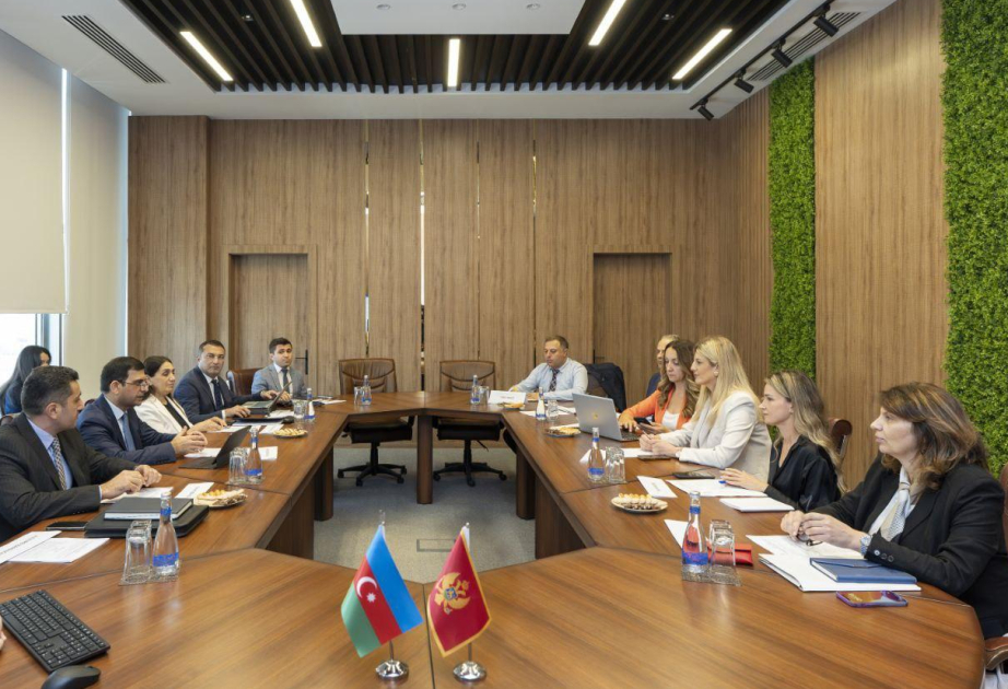 Azerbaijan, Montenegro hold discussions on pension provision