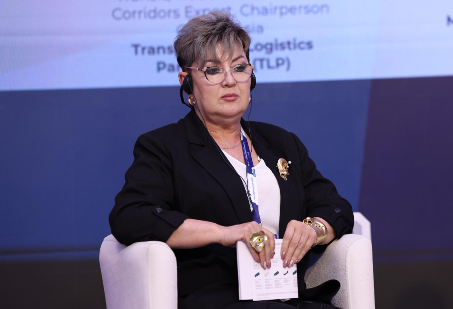 Таджикский эксперт: Центральная Азия стремится к координации транспортных коридоров и развитию электронных систем перевозок