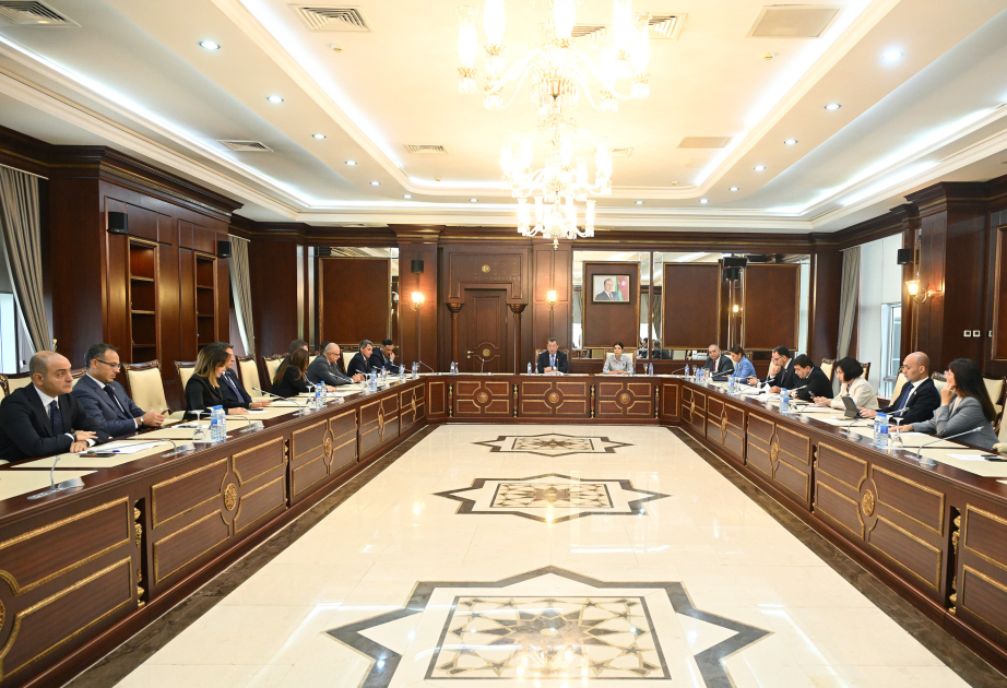 En el Parlamento se debatieron las perspectivas de desarrollo de las relaciones entre Azerbaiyán y Estados Unidos