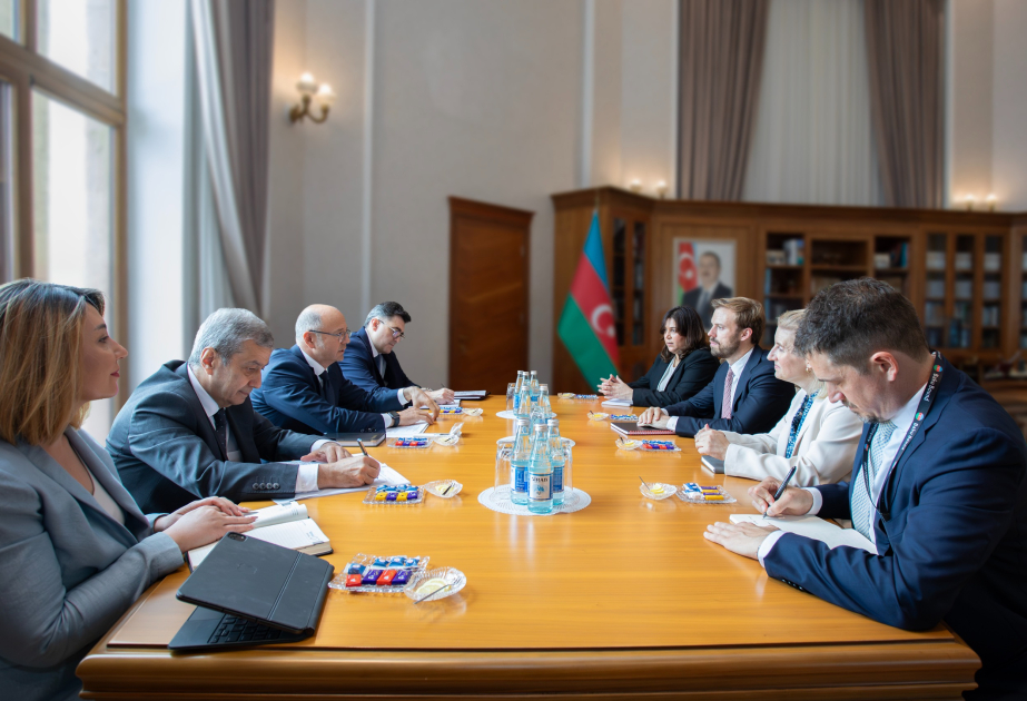 Azerbaijan, U.S. discuss priorities of new stage in energy cooperation