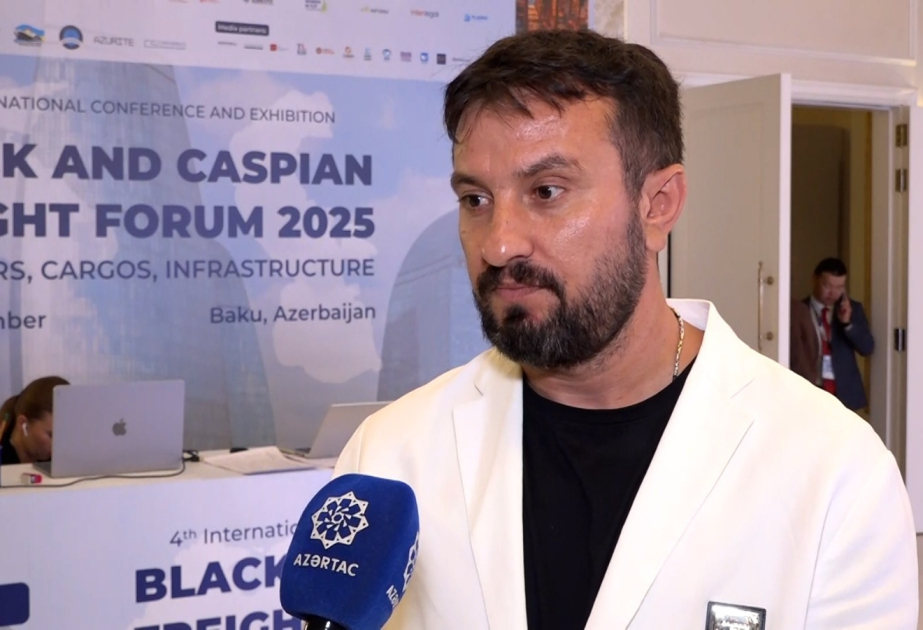 Турецкая компания планирует построить контейнерный склад вблизи порта Алят