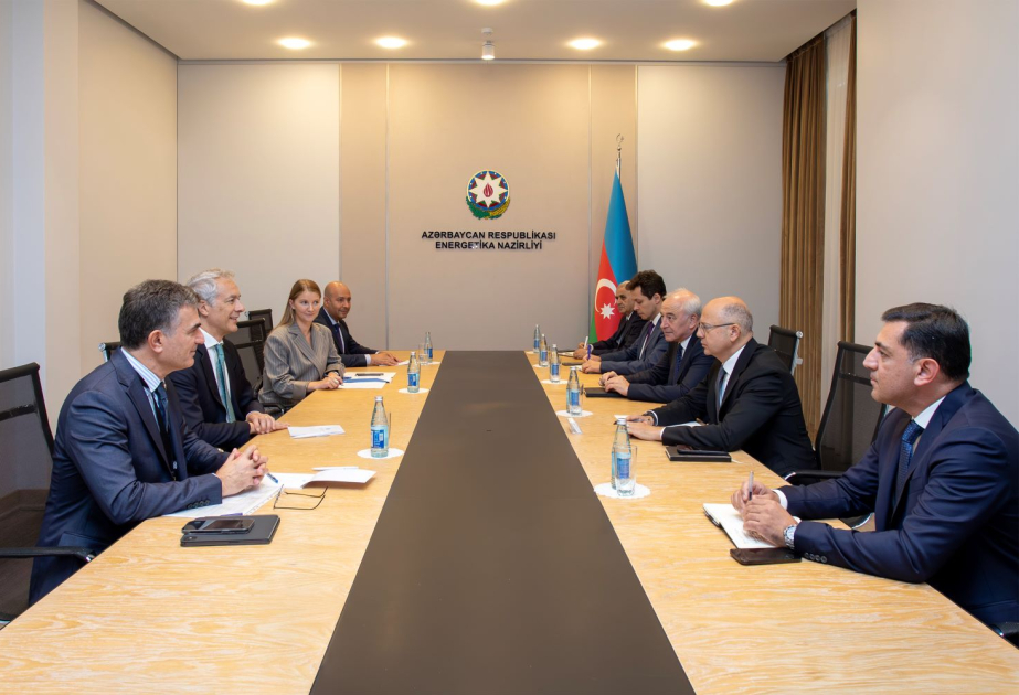 “ACWA Power” şirkəti ilə külək enerjisi layihələrinin icrası müzakirə olunub