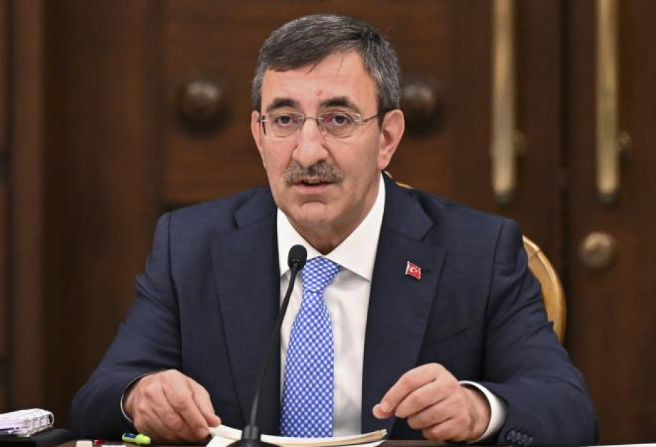 Вице-президент Турции заявил об ускорении процесса дезинфляции в стране