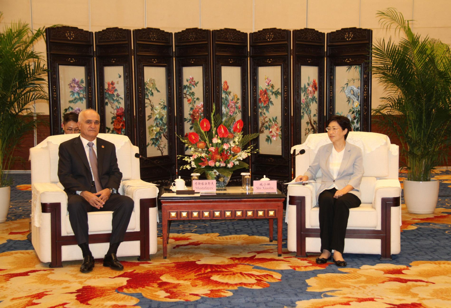 施小琳：在两国元首战略引领下，阿中关系稳步发展