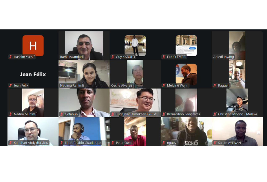 Members of Global South NGO Platform hold online meeting