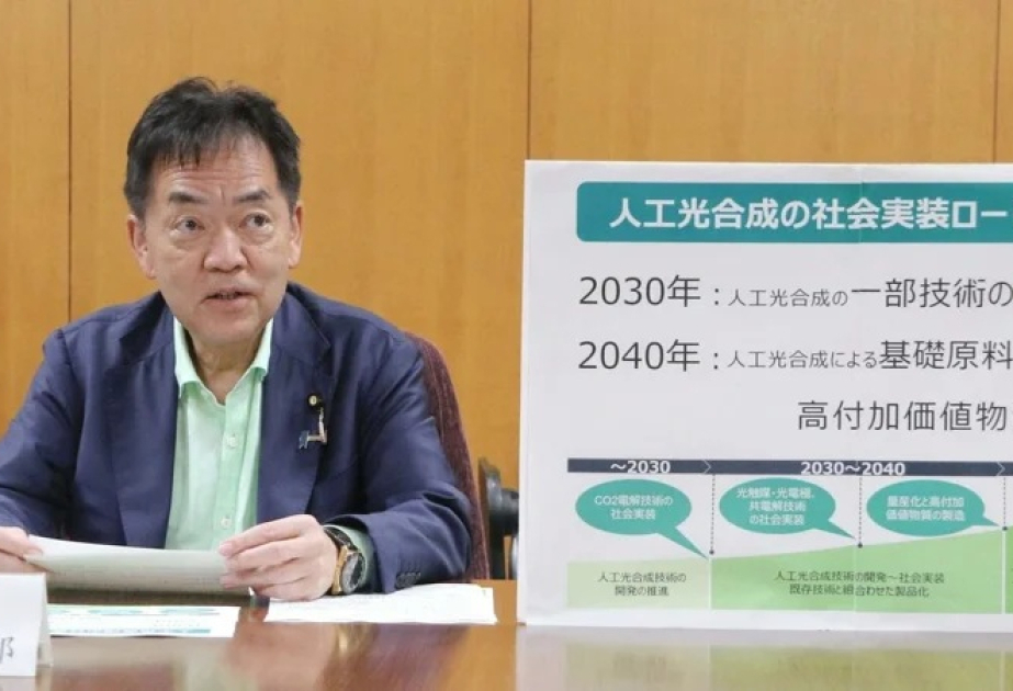 Japan aims to scale energy-producing artificial photosynthesis by 2040