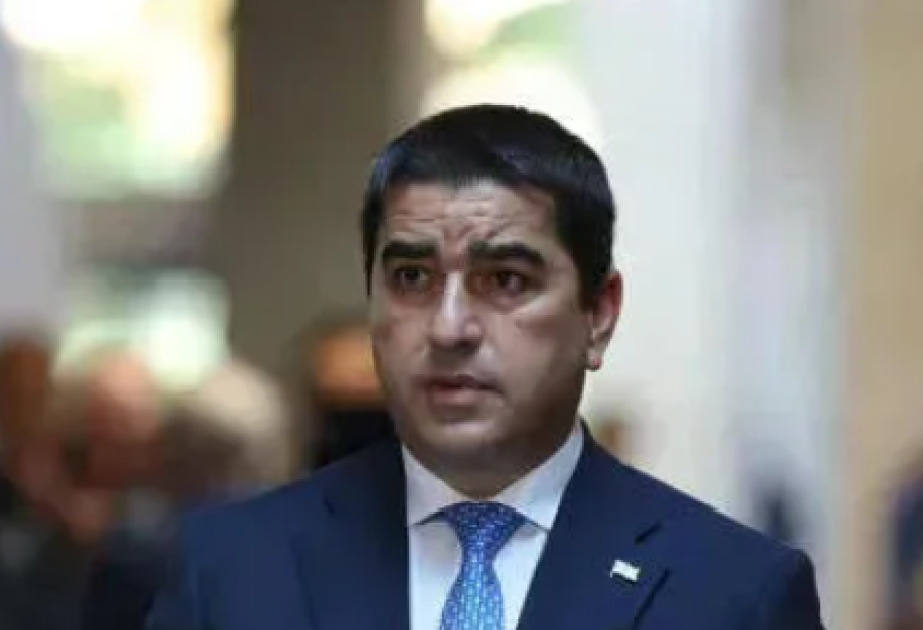 Şalva Papuaşvili: Xarici dövlətin diplomatının cinayət törətmiş siyasətçi ilə görüşməsi ekstremizmi gücləndirir