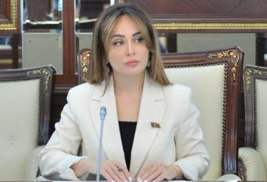 Qarabağın və Şərqi Zəngəzurun inkişaf edən siması Azərbaycanın gücünü göstərir  ŞƏRH