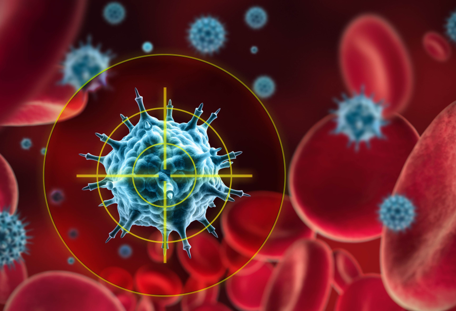 Scientists find a smarter way to activate the immune system against cancer