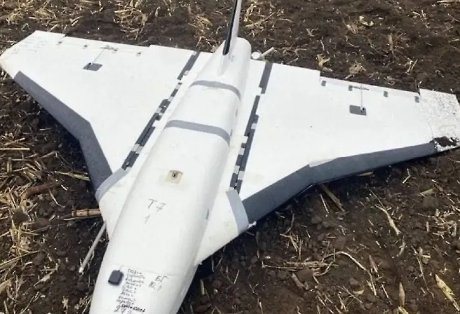 В Польше найден еще один беспилотник