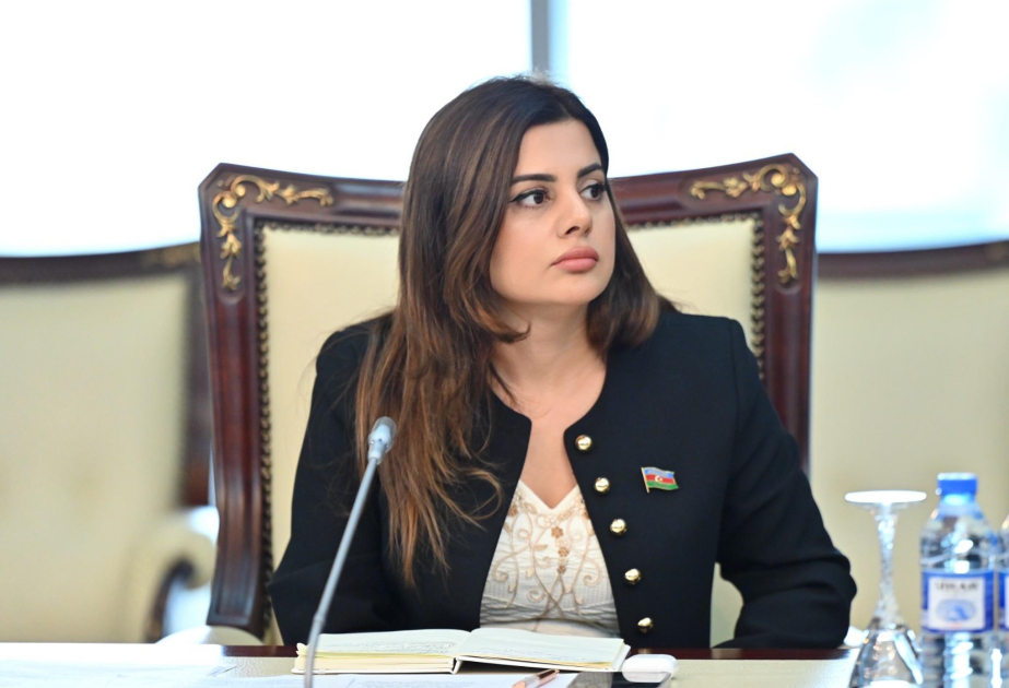 Deputatın həmmüəllif olduğu elmi məqalə ABŞ-da dərc edilib