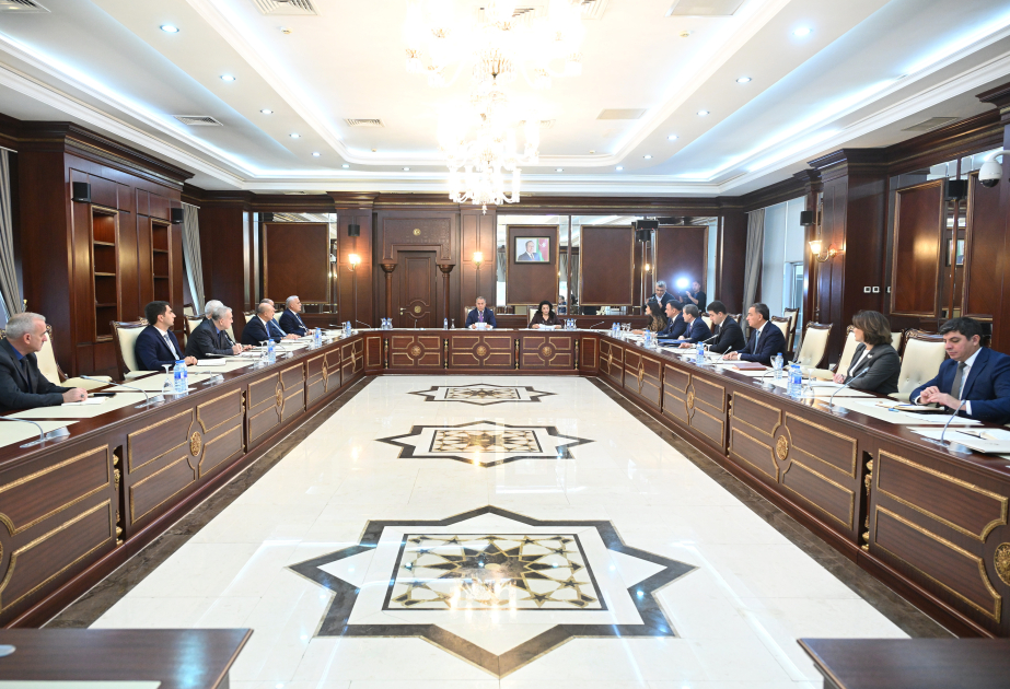 Milli Məclisin Təbii ehtiyatlar, energetika və ekologiya komitəsinin payız sessiyasındakı ilk iclası keçirilib