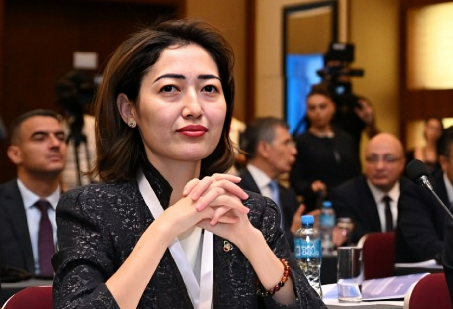 Инициативы Азербайджана расширяют карту СВМДА - ИНТЕРВЬЮ