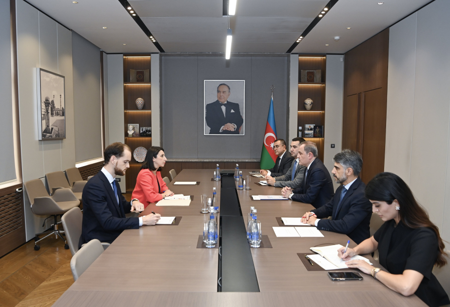 Se examinaron causas de la crisis en las relaciones entre Azerbaiyán y Francia