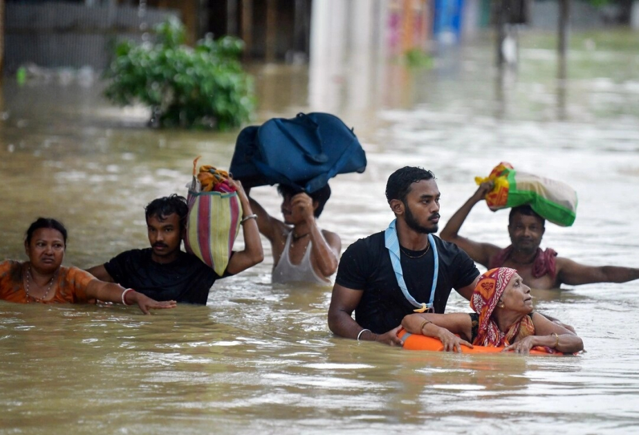 Himachal monsoon toll climbs to 448; 261 rain-related, 187 road accident deaths reported