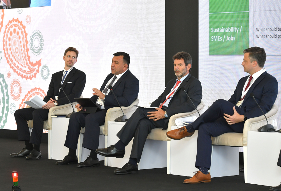 Viceministro: “Las exportaciones no petroleras de Azerbaiyán se han duplicado en los últimos 6 años”