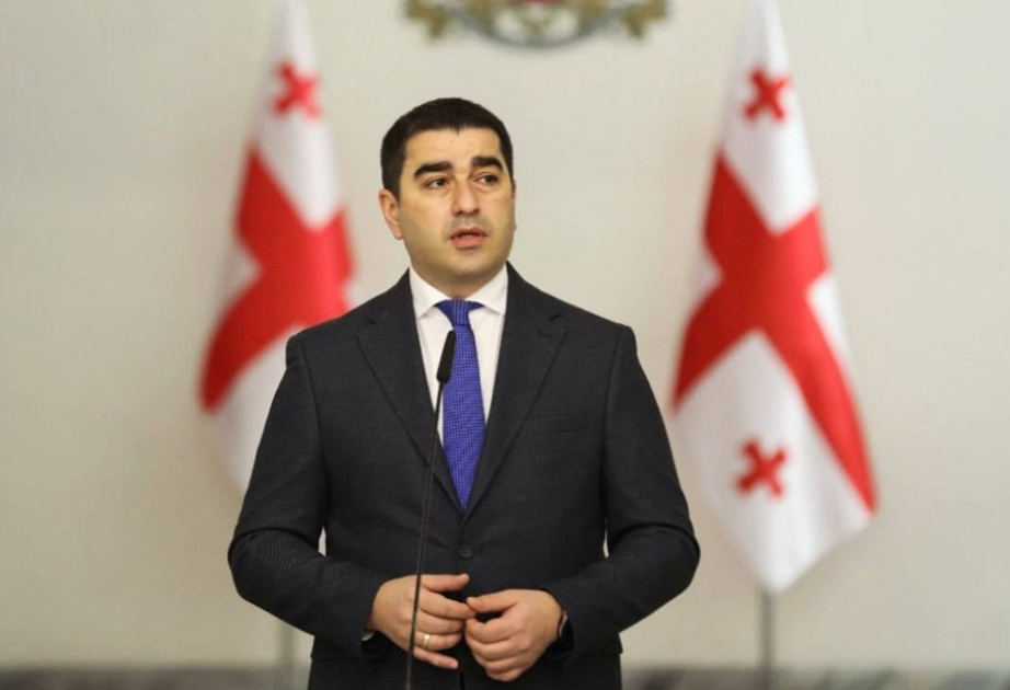 Papuaşvili: Bir neçə ölkənin hakim partiyalarını birləşdirən Avropa Xalq Partiyası ekstremizmi dəstəkləyir