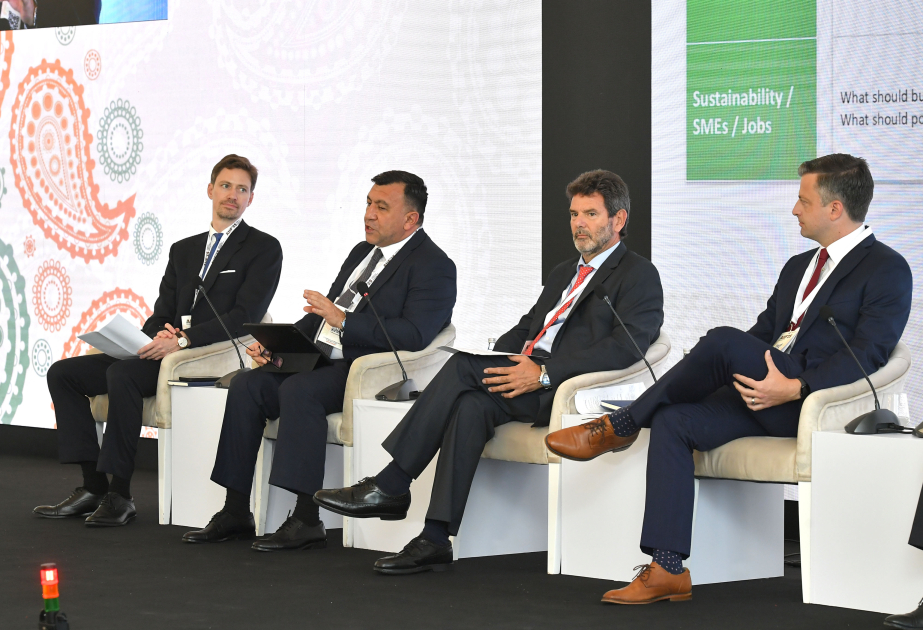 Azerbaijan doubles non-oil exports in past six years – Deputy Minister