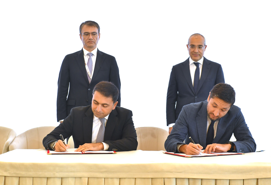 SOCAR acquires shares of Italian company