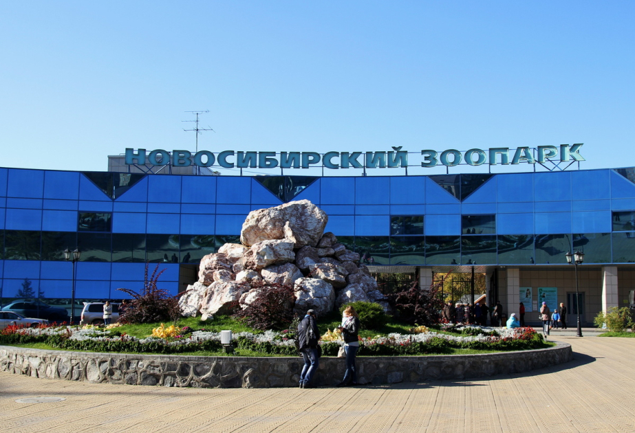 Стало известно сколько животных погибло во время пожара в Новосибирском зоопарке
