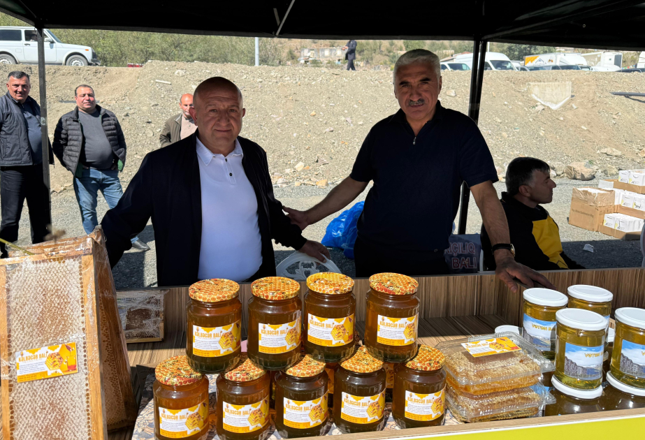 Kəlbəcərdə keçirilən festivalın iştirakçısı: Məhsulumuzu həm satışa, həm də sərgiyə çıxarmaq imkanı qazanmışıq VİDEO
