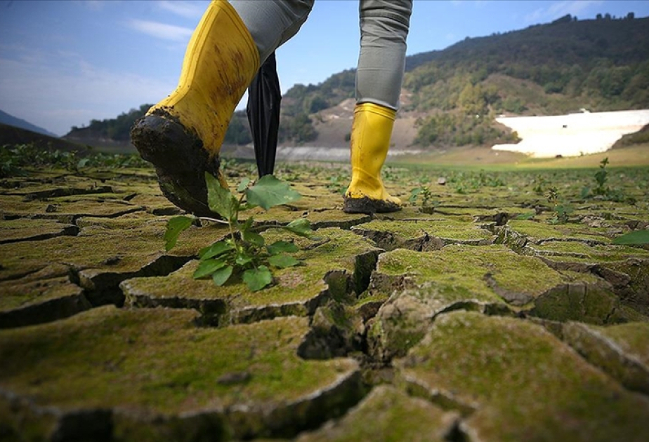 La Türkiye lance un nouveau projet pour lutter contre le changement climatique