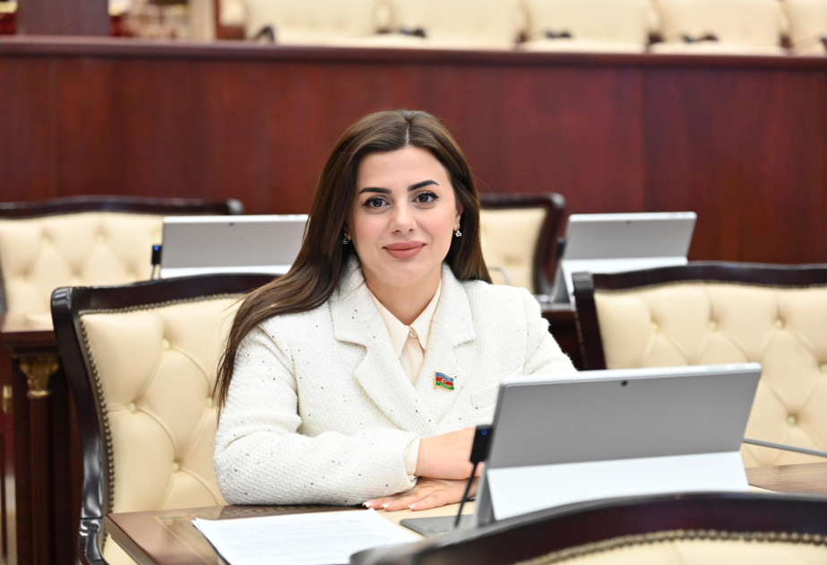 BMT-nin iki tədbirinin gələn il Azərbaycanda keçirilməsi əməkdaşlığımızın əsas istiqamətlərini ehtiva edir  RƏY