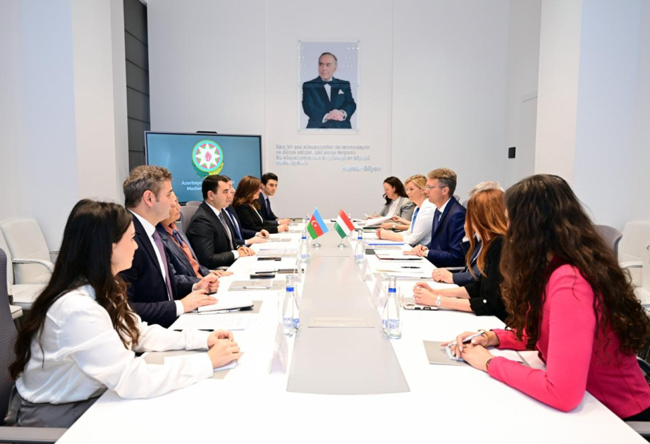 Azerbaijan, Hungary discuss cultural collaboration
