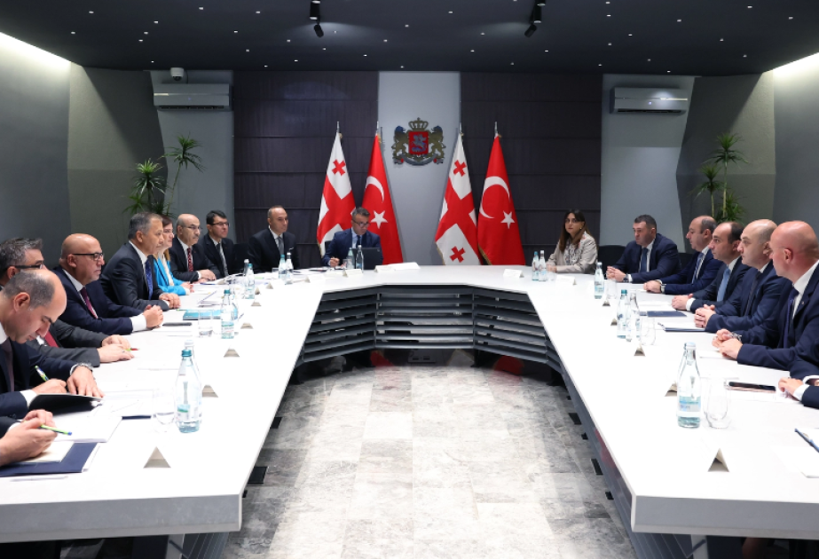 Gürcüstan və Türkiyənin hüquq-mühafizə orqanları arasında səmərəli əməkdaşlıq məsələləri müzakirə edilib