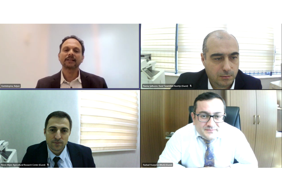 Aqrar Tədqiqatlar Mərkəzi ilə Vaqeningen Universiteti arasında əməkdaşlıq məsələləri müzakirə olunub