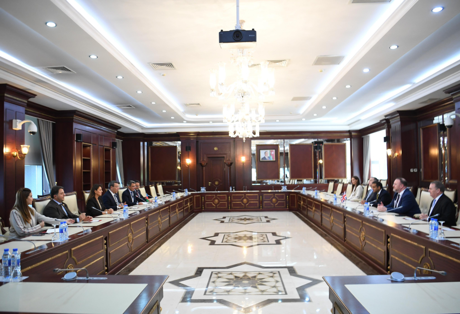 En Milli Majlis se discute la cooperación interparlamentaria con la delegación británica