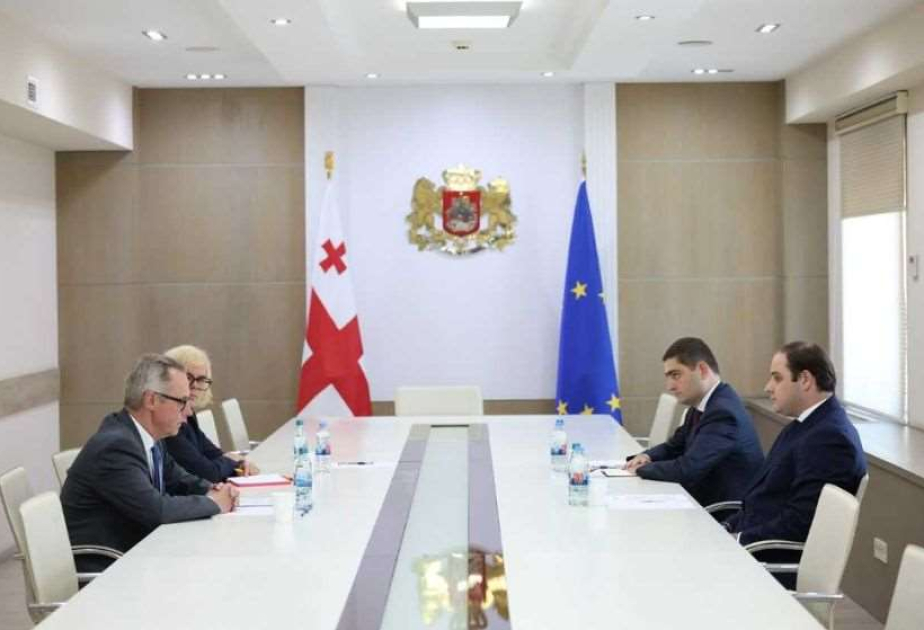 Gürcüstan hökuməti Almaniya səfirinin xahişini rədd edib