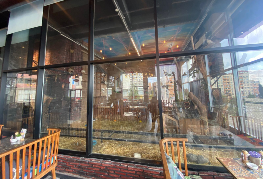 “Kolorit” restoranında heyvanların qanunsuz saxlanıldığı aşkar olunub