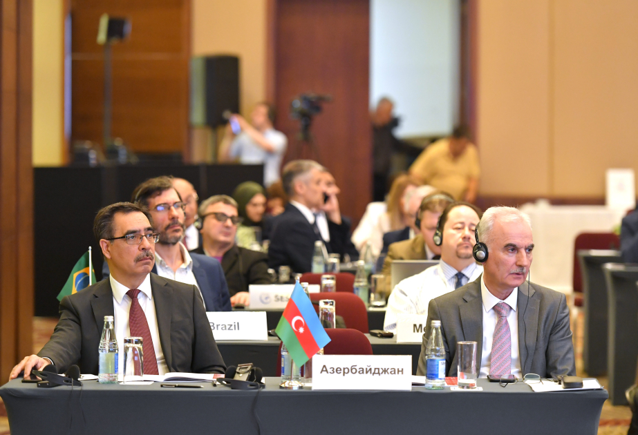 Rauf Səlimov: Azərbaycan DİM statistikasının milli sistemini qurmağı bacarıb