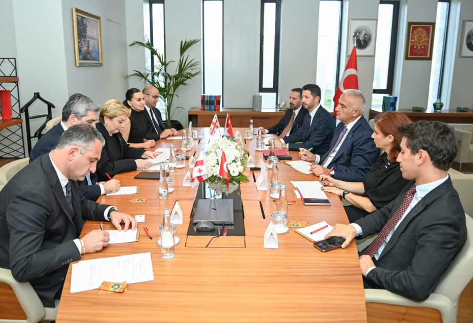 İstanbulda Türkiyə ilə Gürcüstan arasında mədəni əlaqələrin inkişafı müzakirə olunub