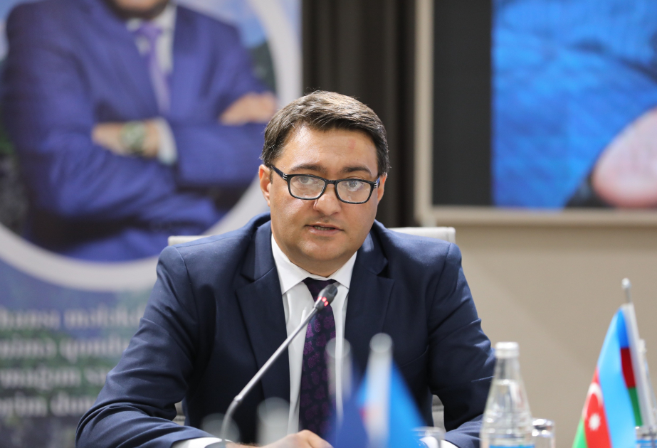 Cənubi Qafqazda geosiyasi yenidənqurma: Prezident İlham Əliyevin ABŞ-a səfərləri TƏHLİL